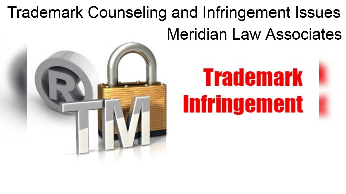 Trademark Counseling and Infringement Issues